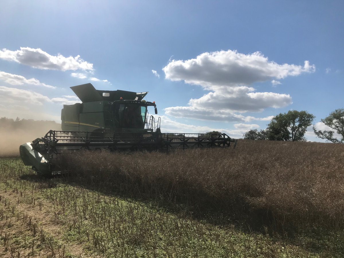 FarolLtd's tweet photo. Harvest is go with this 40ft John Deere S790i set off and optimised in some rape producing a fantastic sample and covering the acres quickly. Speak to Farol for all your harvesting needs! #FarolTechnology #ProductOptimisation #Harvest20 https://t.co/XjceDD2pgJ