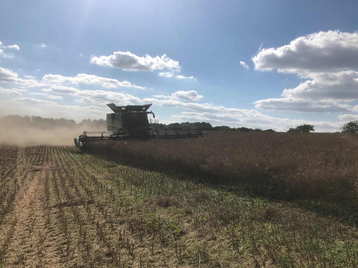 FarolLtd's tweet photo. Harvest is go with this 40ft John Deere S790i set off and optimised in some rape producing a fantastic sample and covering the acres quickly. Speak to Farol for all your harvesting needs! #FarolTechnology #ProductOptimisation #Harvest20 https://t.co/XjceDD2pgJ