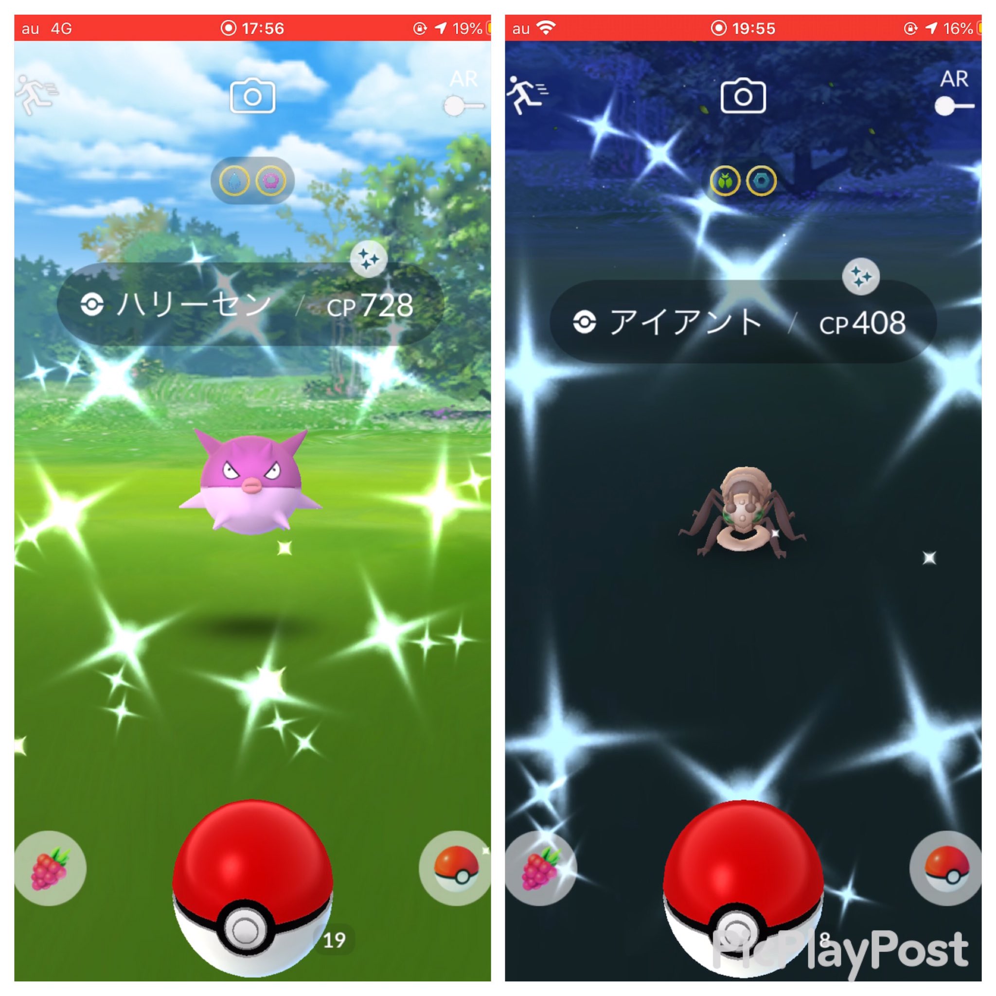 まさぴょん ポケgo フェスト2日目お疲れ様でした ハリーセンと終了間際のアイアントの色違い初get ポケモンgo T Co Oi4g3dpmwl Twitter