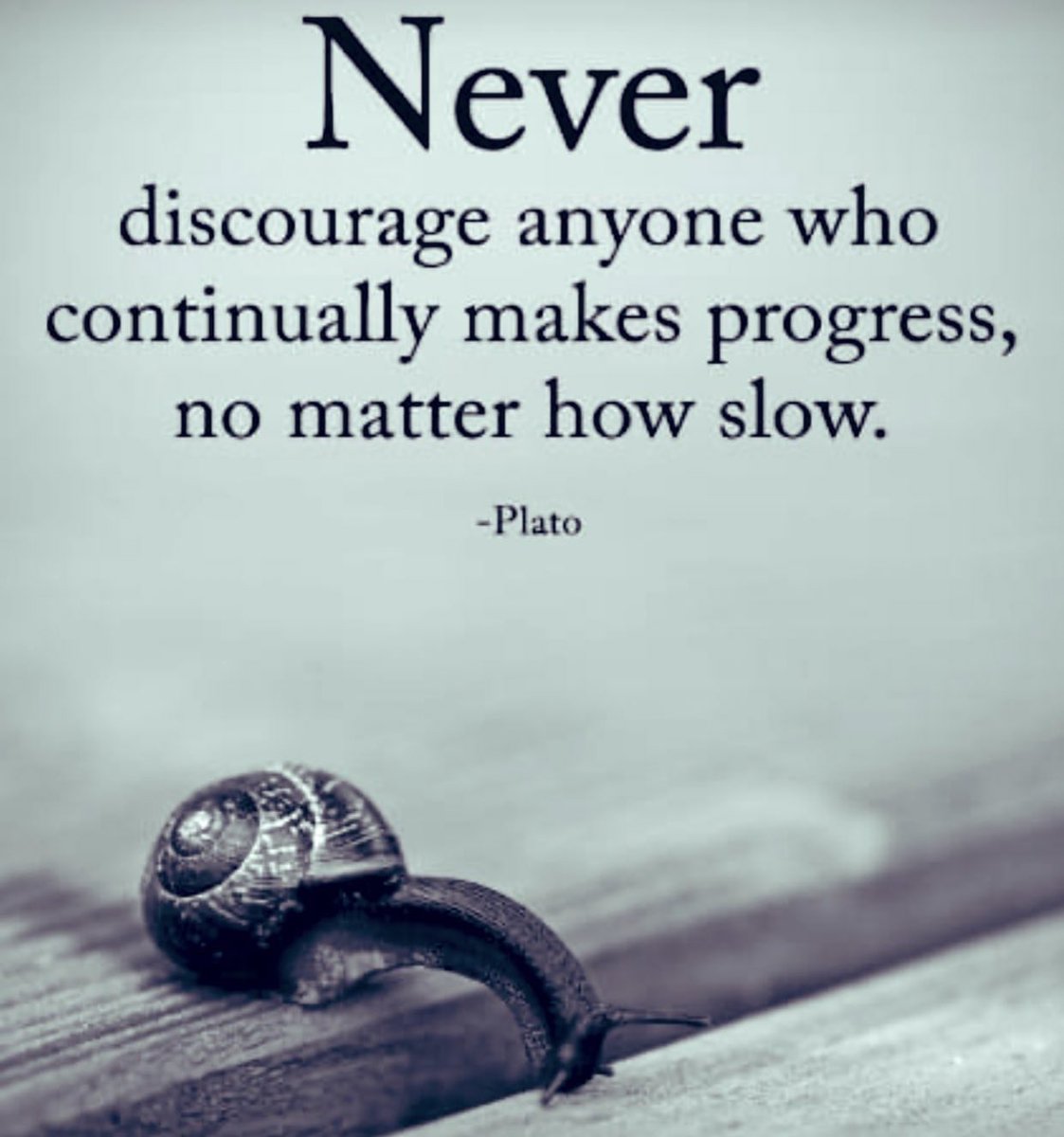 Carla Carlson-Wallace tweet media