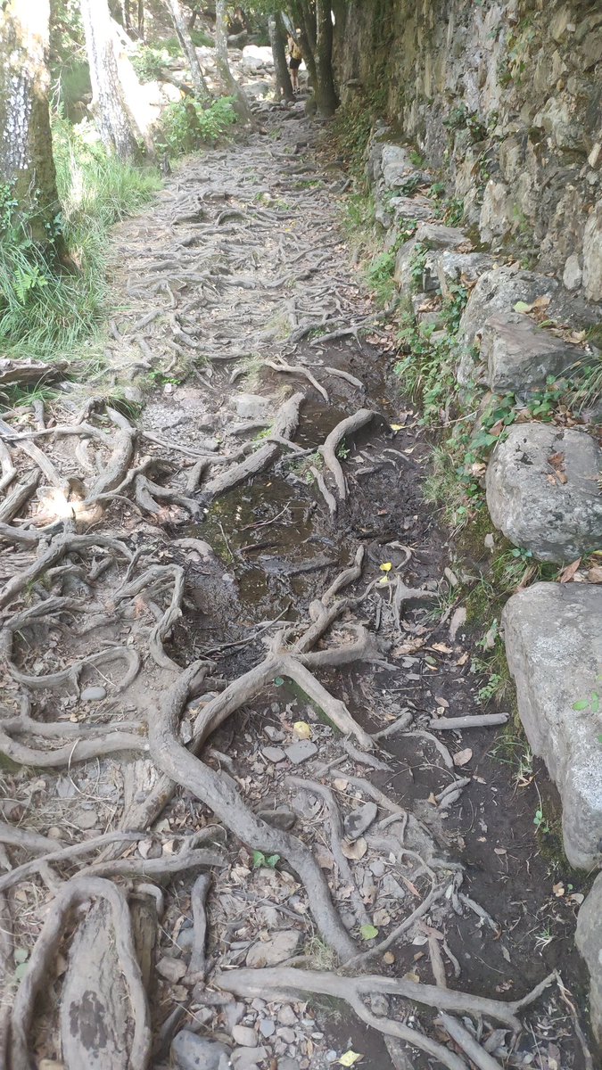 Javitaurino__'s tweet photo. Valle de las Batuecas https://t.co/vg0C6dOaZu