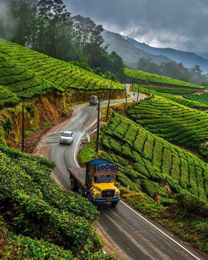 indiainmedan's tweet photo. #ExploreIndiaSeries: Idukki Distt is one Kerala's gems- from rolling Western Ghats with forested valleys, towering peaks,stunning waterfalls of Vagamon to idyllic Munnar &amp; Devikulam's sweeping views of tea &amp; cardamom fields &amp; wildlife of Tekkady @KeralaTourism @incredibleindia https://t.co/EtzYQaUXEv