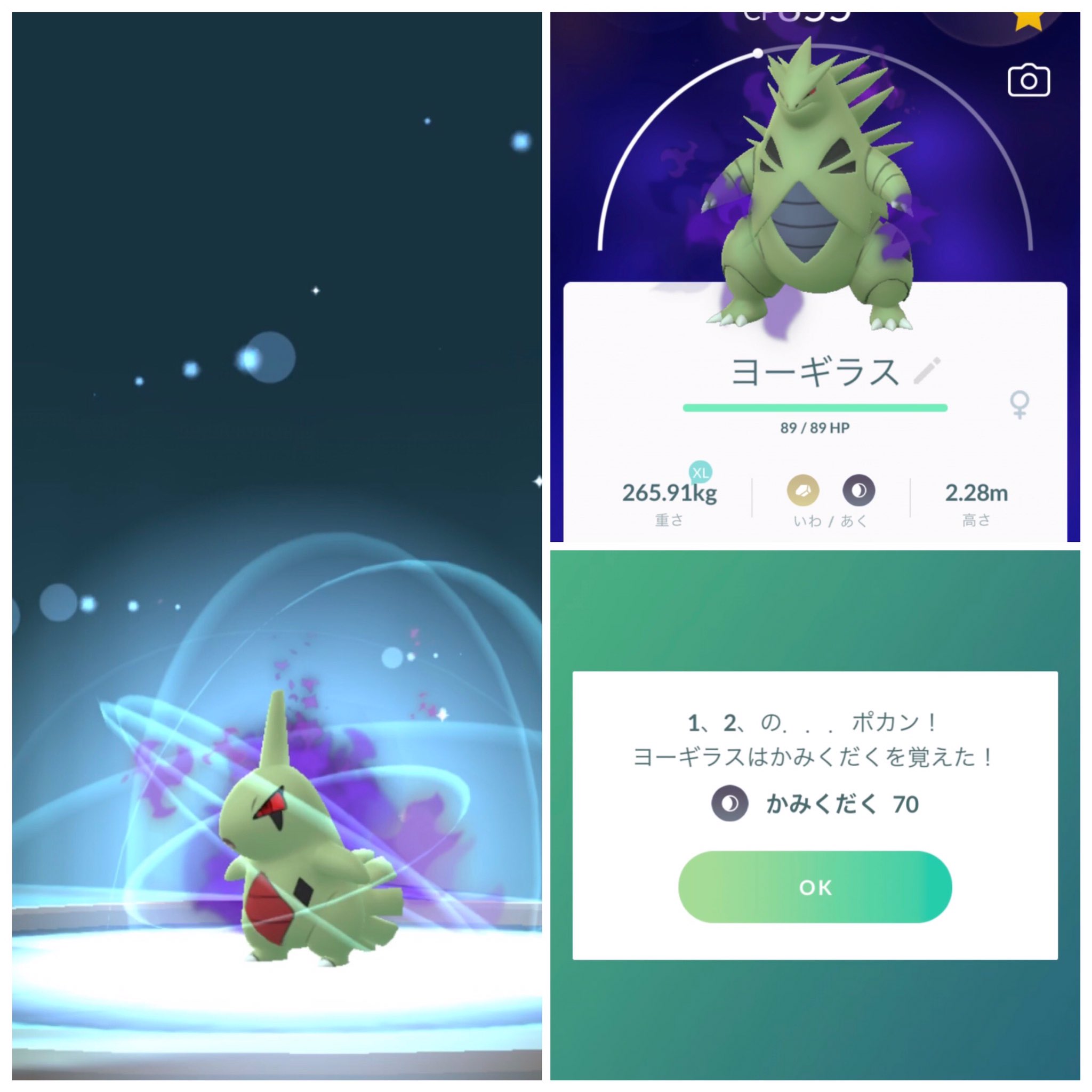 カノン ポケモンgo Kanonpokego Twitter