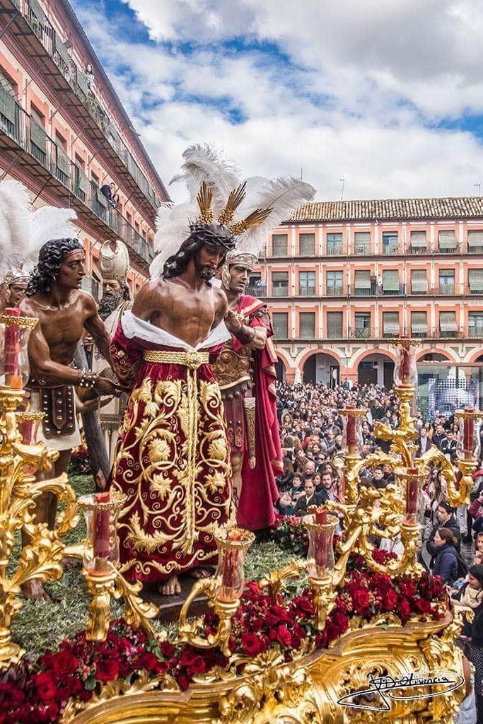 La Voz Cofradias On Twitter De Tus Penas Soleares Gitano De Cordoba Esperanzahdad Domingo
