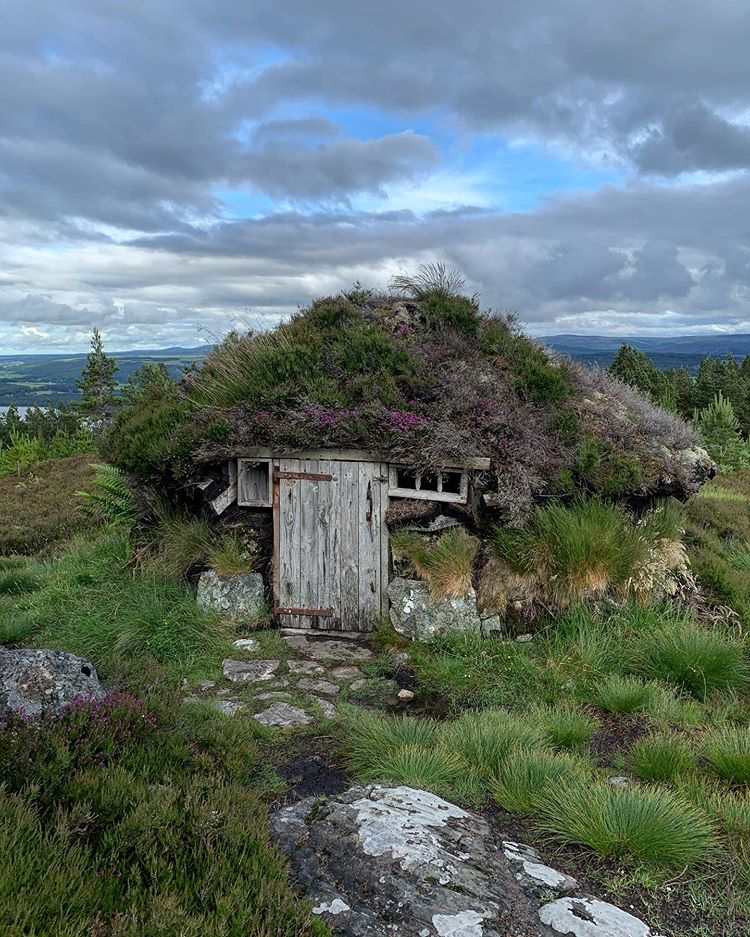 VisitScotland's tweet photo. Who would live in a house like this?! 🧚🌸 The things you stumble across when on a stroll in the #Highlands! #StaySafe 📍 near Abriachan, #LochNess 📷 IG/emchal https://t.co/iTwrcn2S7O