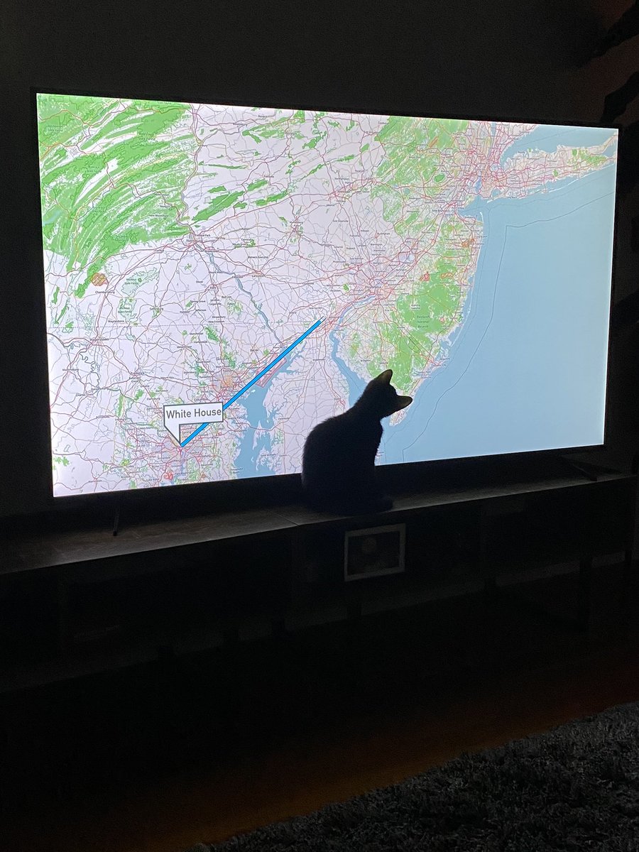 LouSeaLu's tweet photo. @WarintheFuture He likes documentaries! https://t.co/kfp9i446IP