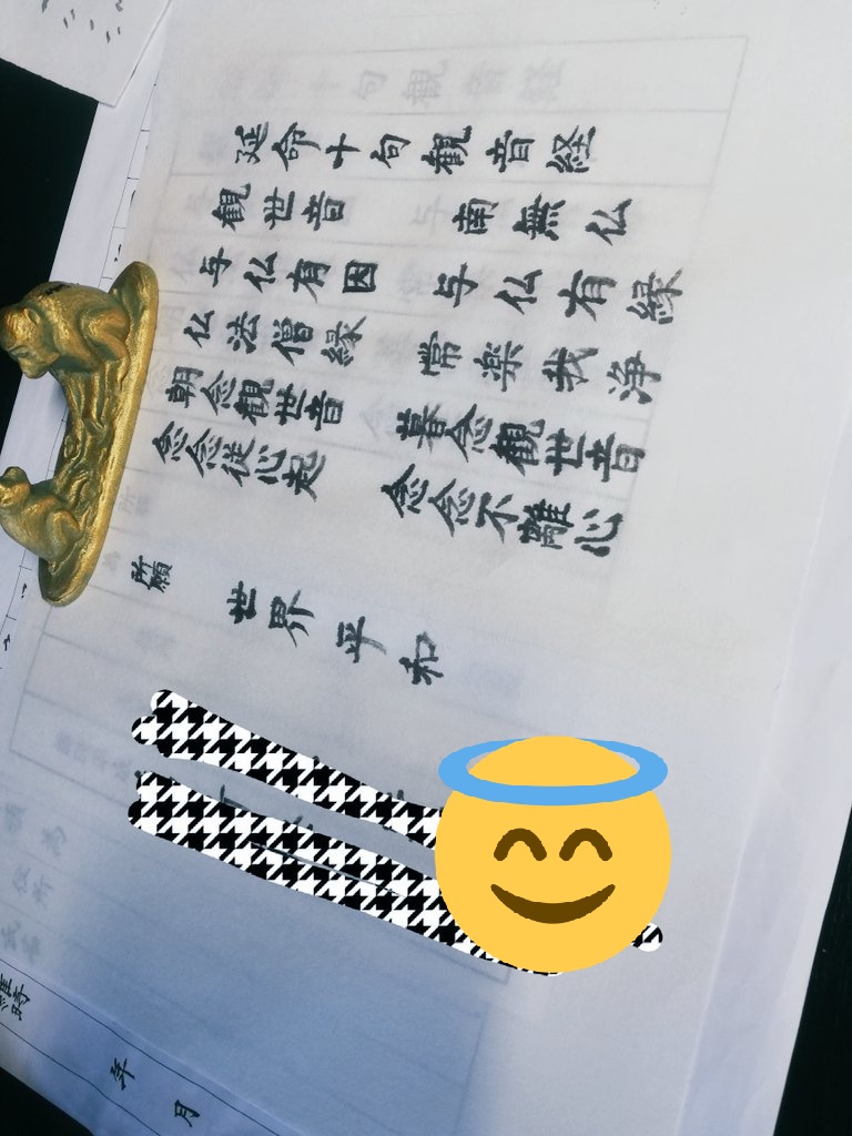 はるまき Iga腎症治療終了 Mixdogmk Twitter