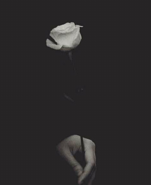 im_an99's tweet photo. " گناہ کو گناہ سمجھنا بھی نیکی ہے " https://t.co/n4Y3nUdtJa