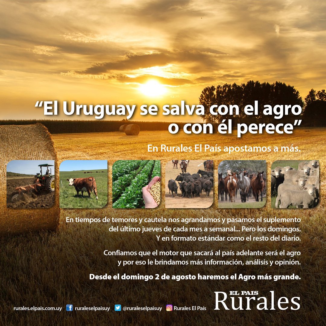 ruraleselpaisuy's tweet photo. https://t.co/8u5jgvT2lz