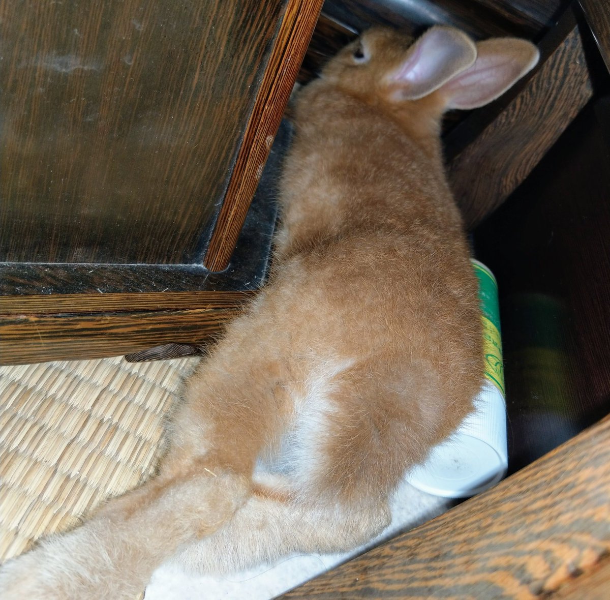 397サンキューな