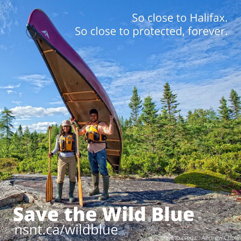 HikeNS's tweet photo. The Blue Mountain-Birch Cove Lakes are a treasured spot for walks on forest trails, backcountry hiking, swimming, paddling, and angling.  Learn more about how you can help #SavetheWildBlue: https://t.co/AOfLF3lDb3 @NSNatureTrust @FriendsBMBCL #HikeNS 
📸: Andrew Chow https://t.co/b3M3usELc6