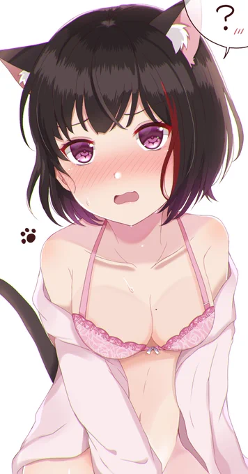 「にゃ、にゃんであたしがこんな格好…!!!!」
蘭にゃん落書き?? 