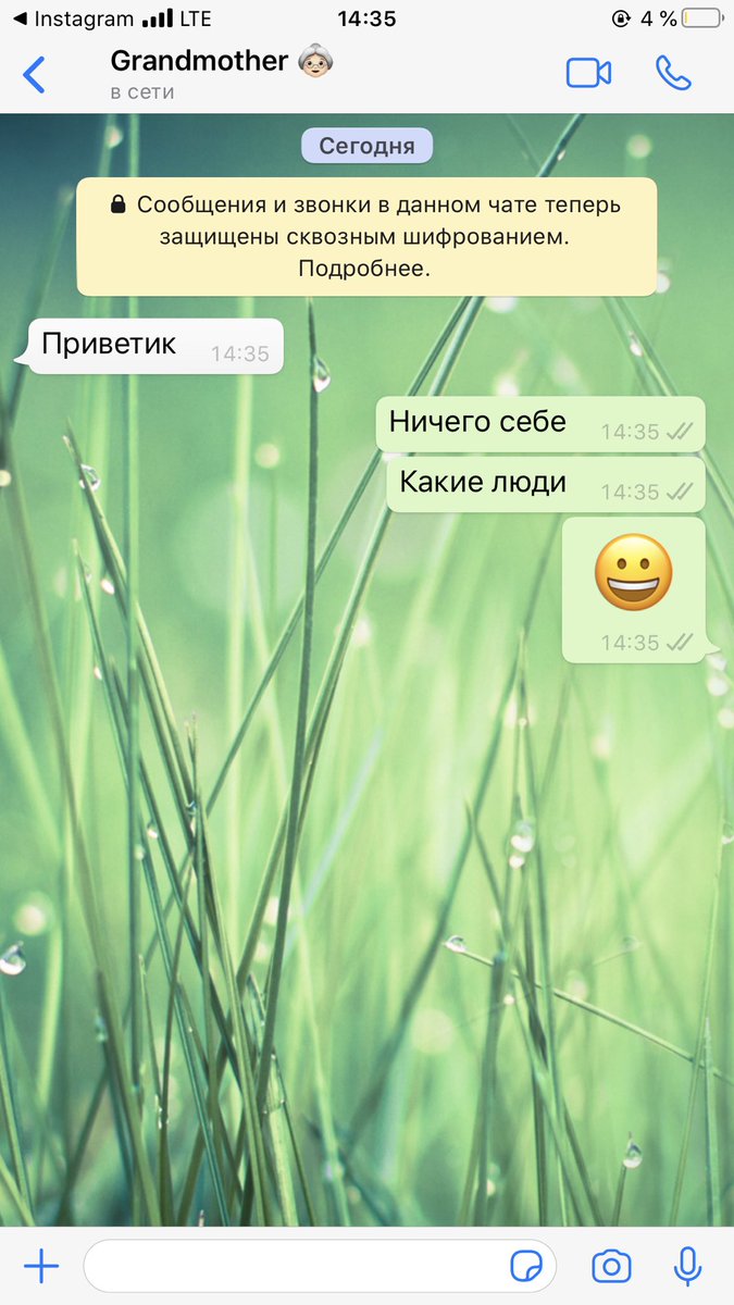v_volf1's tweet photo. Бабушка зарегестрировалась в Вотсапе😂 смешным картинкам и видео быть 🤦🏼‍♀️ https://t.co/54aMJKU7Vq