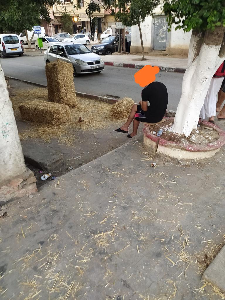 Blida_Urb's tweet photo. مظاهر سلبية تتكرر مع اقتراب عيد الأضحى، من هب و دب أصبح يحتل الفضاء العام لاستغلال ربحي شخصي في قلب المدينة تحول الشارع الى "كوري" في غياب تام للسلطات. #البليدة https://t.co/bH78yhDT5b