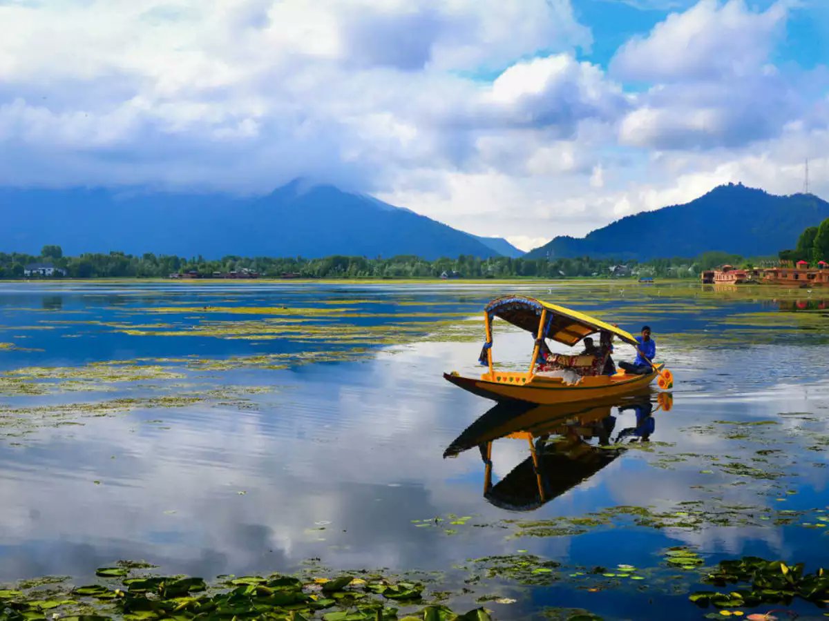 WaniMaham's tweet photo. Mere watan teri jannat mai ayengy ek din! 
#Kashmir https://t.co/hZWiM1Ixnb
