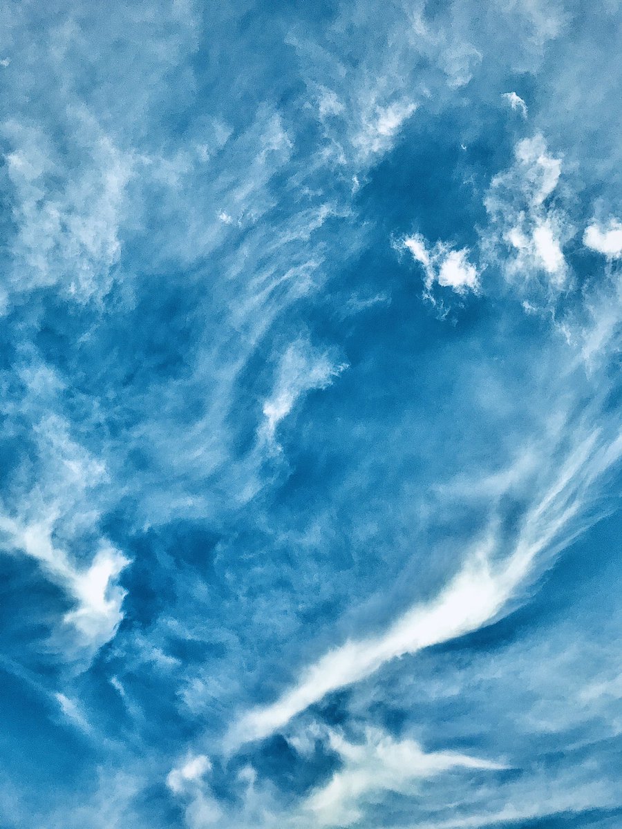emmaspicer2003's tweet photo. #photography #likeapaintinginthesky #different #syle #capture #Motivation #Competition #influencer #influencermarcketing #weekendfeeling #tbt #wcw #designedindorset #thepoolepost #theworldartgallery #adoptagrandparent #dailyecho #dorsetmag #viwenews picpr #gallerys #following https://t.co/wxqAy59dlP