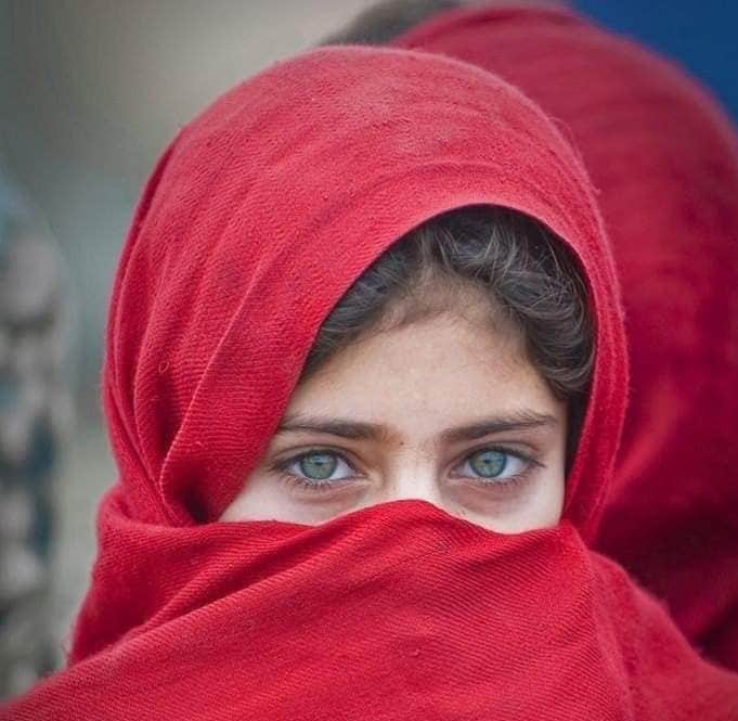 Gullalai Kakar tweet media