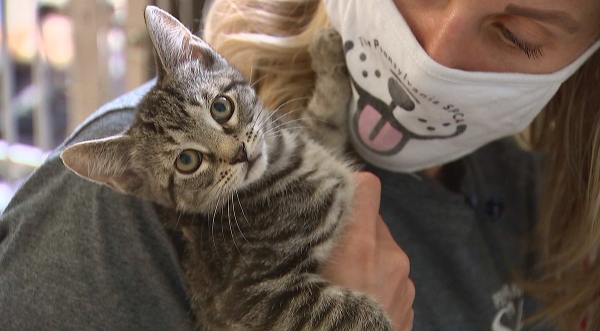 JanCarabeoCBS3's tweet photo. The #CBS3PetProject is next. That is all. ๐ป๐ https://t.co/1vAJ7aHCy7