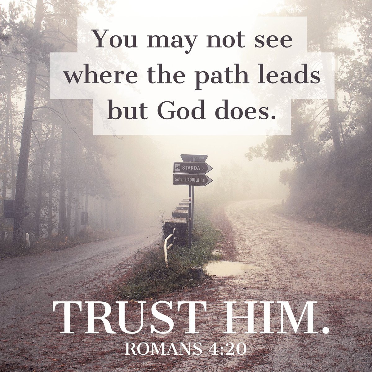 TheFirmament777's tweet photo. "He staggered not at the promise of God through unbelief; but was strong in faith, giving glory to God;ย And being fully persuaded that, what he had promised, he was able also to perform." Romans 4:20-21
#faith #believe #godisfaithful #blessed #trust #hope #grace #God #donotdoubt https://t.co/fokrM10gaL