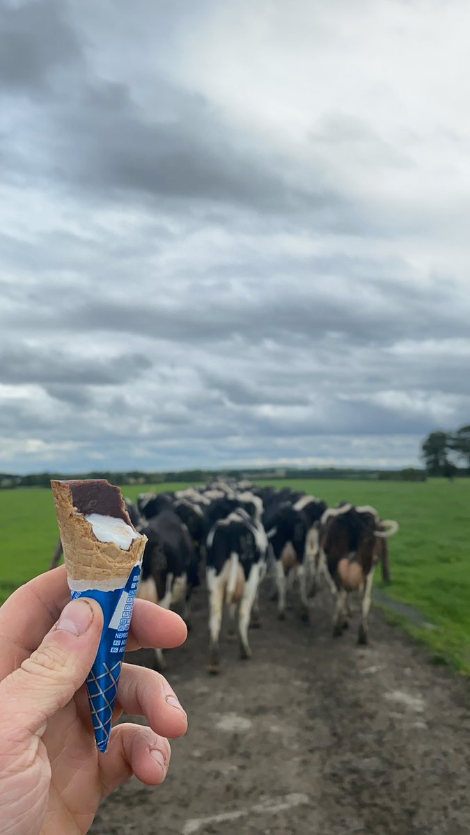 Daithi_fenno's tweet photo. Not a bother on it.
#cowtime https://t.co/dMyx53OrOo