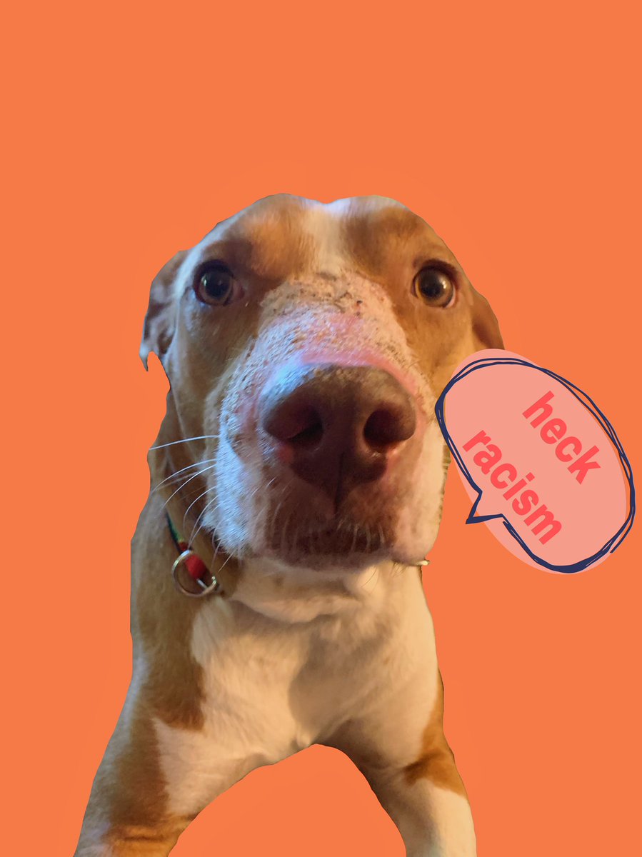 izzyanger's tweet photo. Val here to remind y’all that BLACK LIVES MATTER IS NOT A TREND and that the K-9 unit is animal abuse. #blm #AbolishPolice #acab https://t.co/Z0yT7K99WD