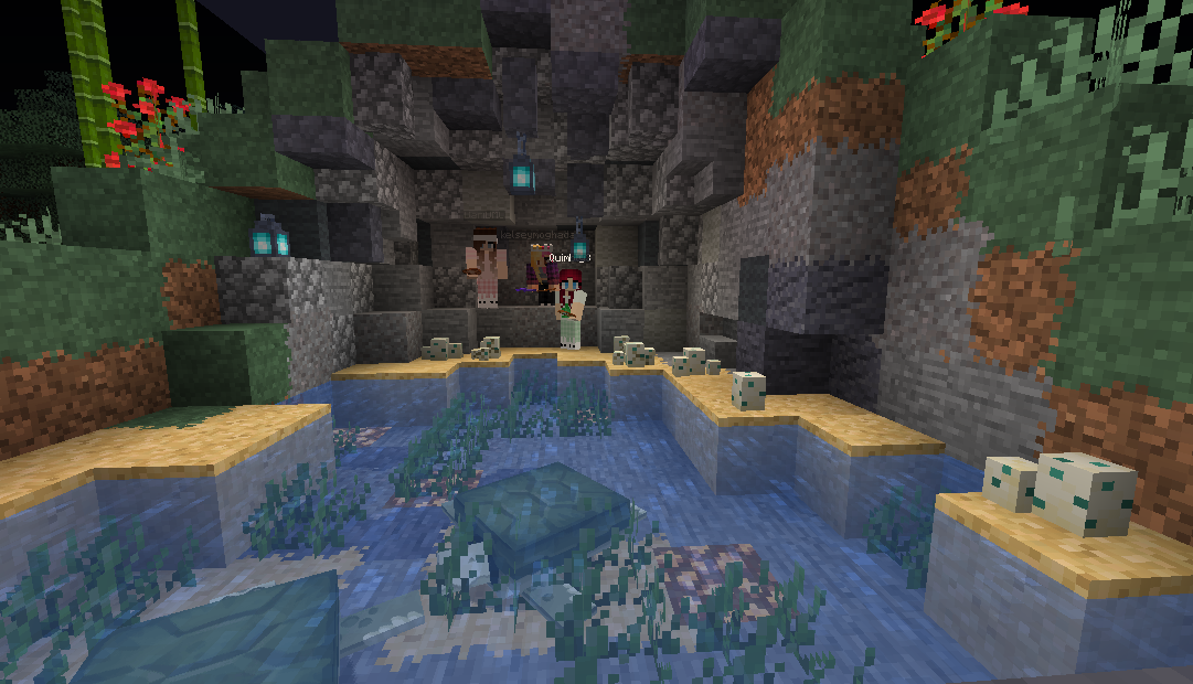 PastelsDarling's tweet photo. @DaniDMCC @kelseymoghadas and @Quimbly3 in the turtle habitat we built last night on stream! #streamercraft https://t.co/Cd67bTDxhq