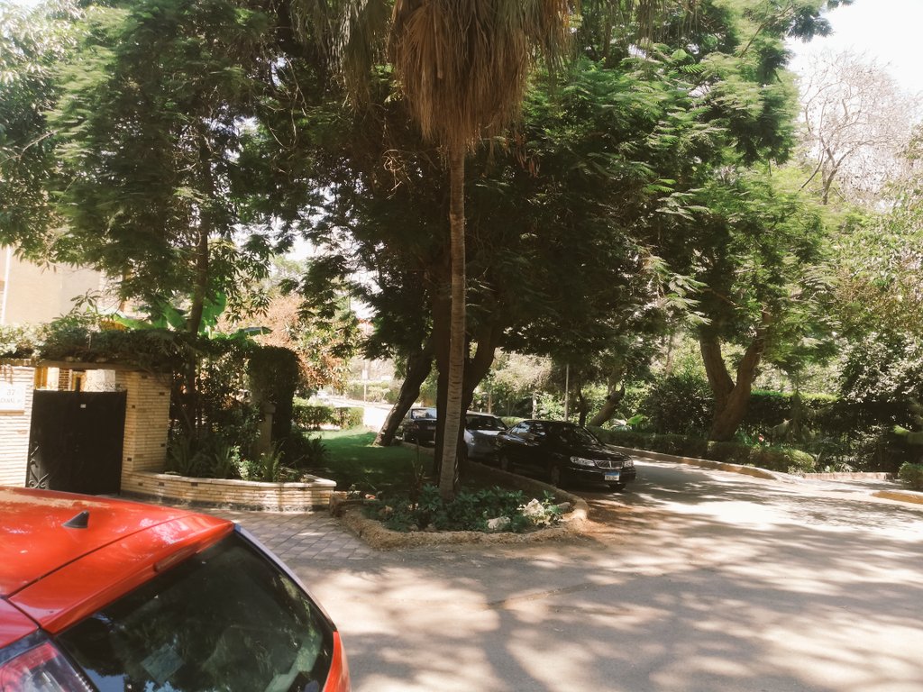 NadaGamalAbbas's tweet photo. Maadi random walks was pretty missed https://t.co/tvwedWtJNA