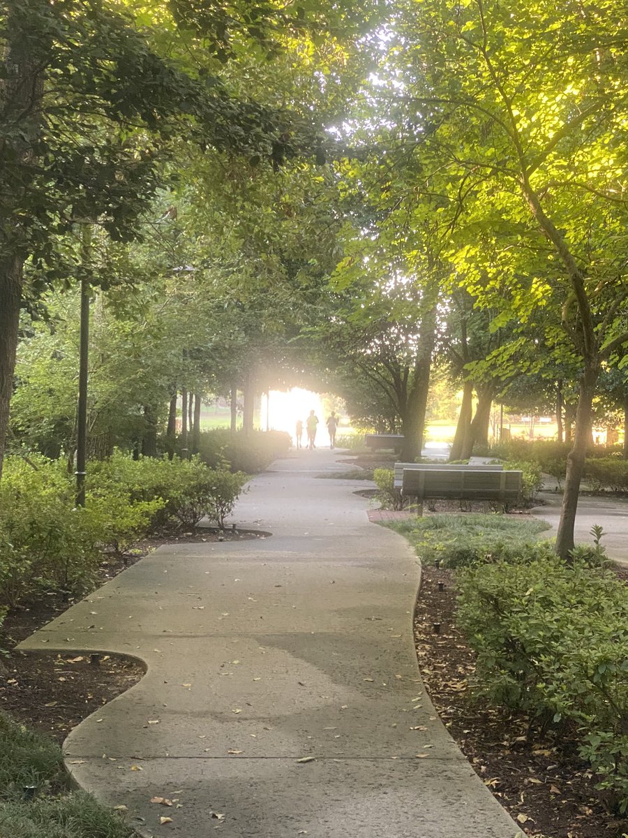 1sttxtrigirl's tweet photo. Running Creekside Park! Blessings in our own Backyard! Love our parks! #thewoodlandstx #creeksideparkvillage #texasrunning #humidity100% https://t.co/Z5rNkKgswe