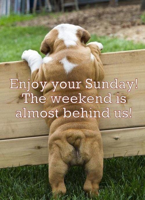 "Enjoy your Sunday" ow.ly/DnQG30qWT31