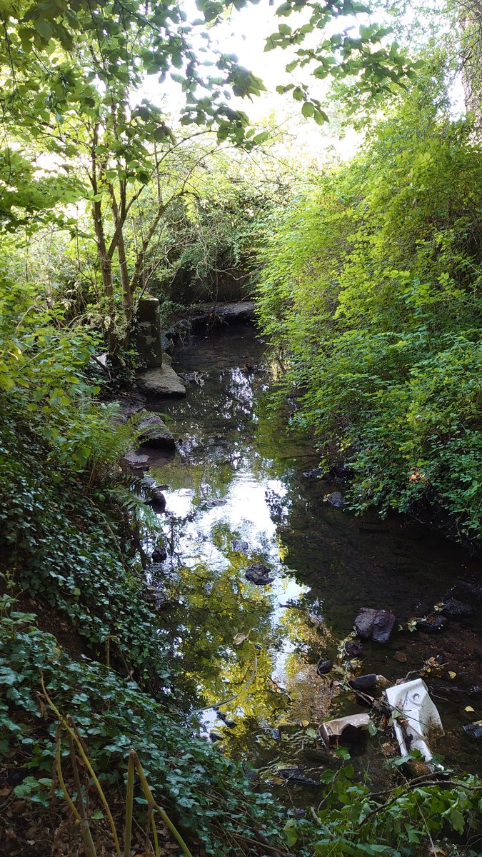 but dense belt of very tall trees. Not far west, it meets the River Ray on its journey to join the Thames at Lechlade. So, the sarsens at the roundabout are unlikely to represent a lost megalithic thingy, and probably haven't come far, although it would be nice to know (23/24)