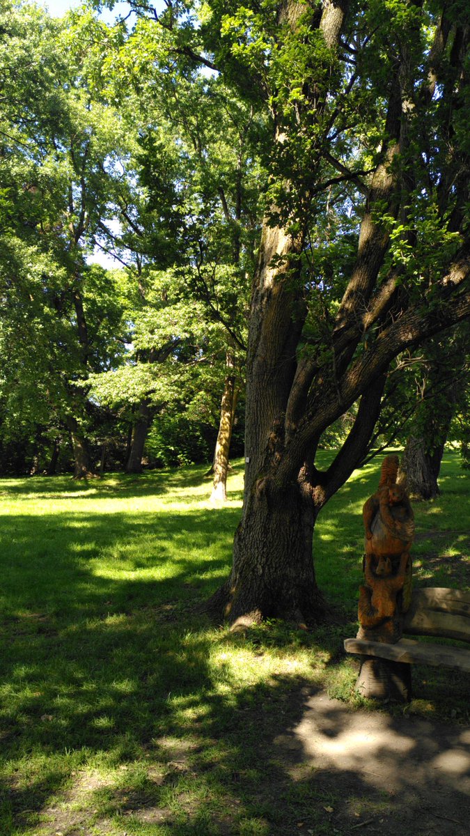 HaugenRd's tweet photo. Botaniske hage i #oslo ❤️ fin spasertur på en fin dag 🌺🌹 https://t.co/BOBKHt1hKR