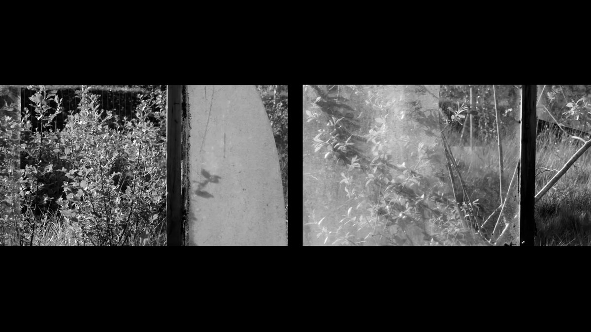 aemi_ie's tweet photo. Niamh O'Malley's Glasshouse is online @JHansardGallery until Fri 31 July. In her essay, Exhibitions Curator @NadiaThondrayen points to a re-evaluation of the work amidst C-19 and awakened attentions to the materiality of spaces
+ in-convo talk Tue 28 July:
https://t.co/oPm6RqBKZo https://t.co/Wsq2cRvnF0