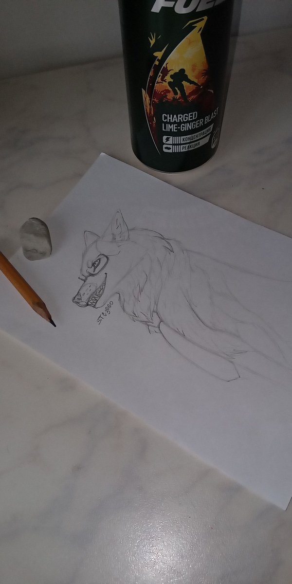 Stc3000Artist's tweet photo. #STC3000 #Wolf #Feral #sketch #TraditionalArt https://t.co/d42PxsAm9b