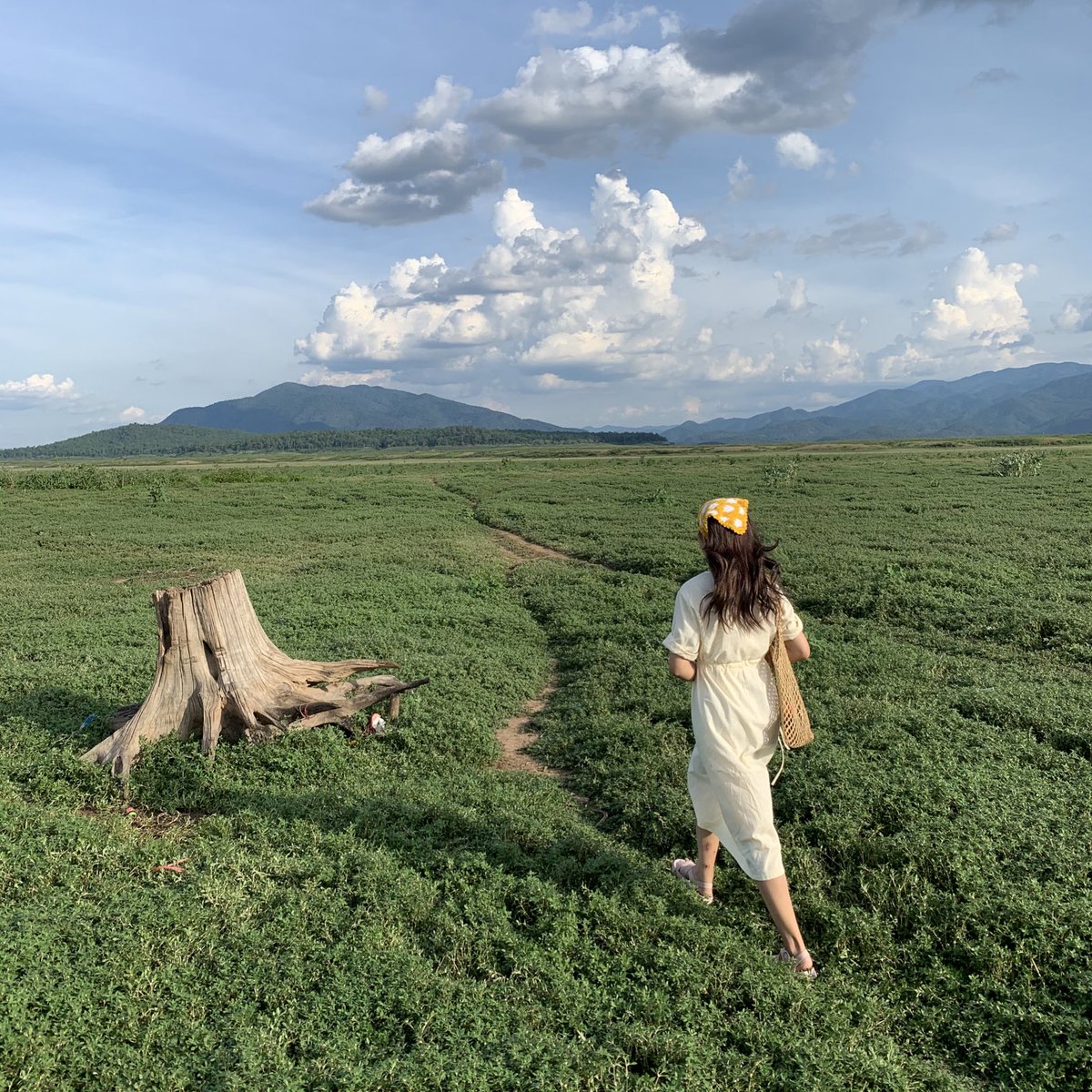 katmatcha's tweet photo. ดอยเต่าแหมแล้วว ☀️ https://t.co/fFS0ZSXL9s
