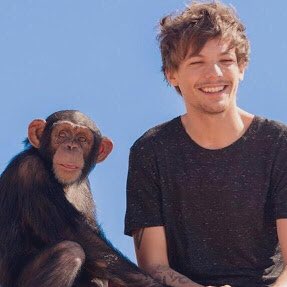 in case u need cheering up here’s louis with his best friend
