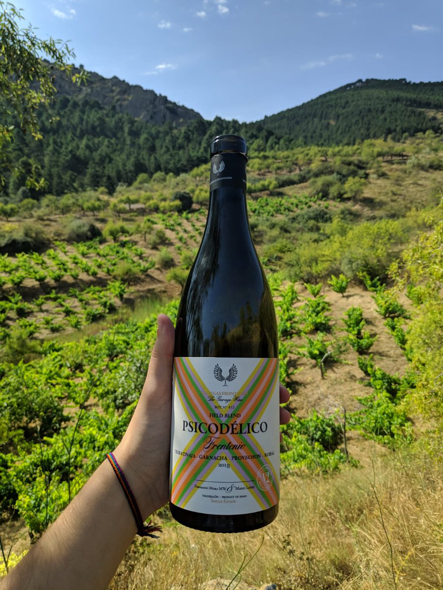 wineissocial's tweet photo. 🌱Hoy os saludamos con la mejor compañía: la de Fernando Mora (@thegaragewineco).
¿Qué más se puede pedir que visitar @BFrontonio y probar sus nuevos vinos?❤🍷¡Amor TOTAL!
#wineissocial #enjoyyourflight #fernandomora #frontonio https://t.co/T4XaFuGEj8