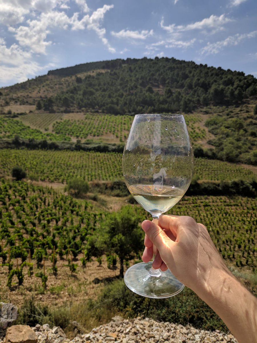 wineissocial's tweet photo. 🌱Hoy os saludamos con la mejor compañía: la de Fernando Mora (@thegaragewineco).
¿Qué más se puede pedir que visitar @BFrontonio y probar sus nuevos vinos?❤🍷¡Amor TOTAL!
#wineissocial #enjoyyourflight #fernandomora #frontonio https://t.co/T4XaFuGEj8