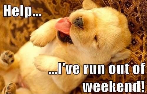 ECX Chichester tweet media