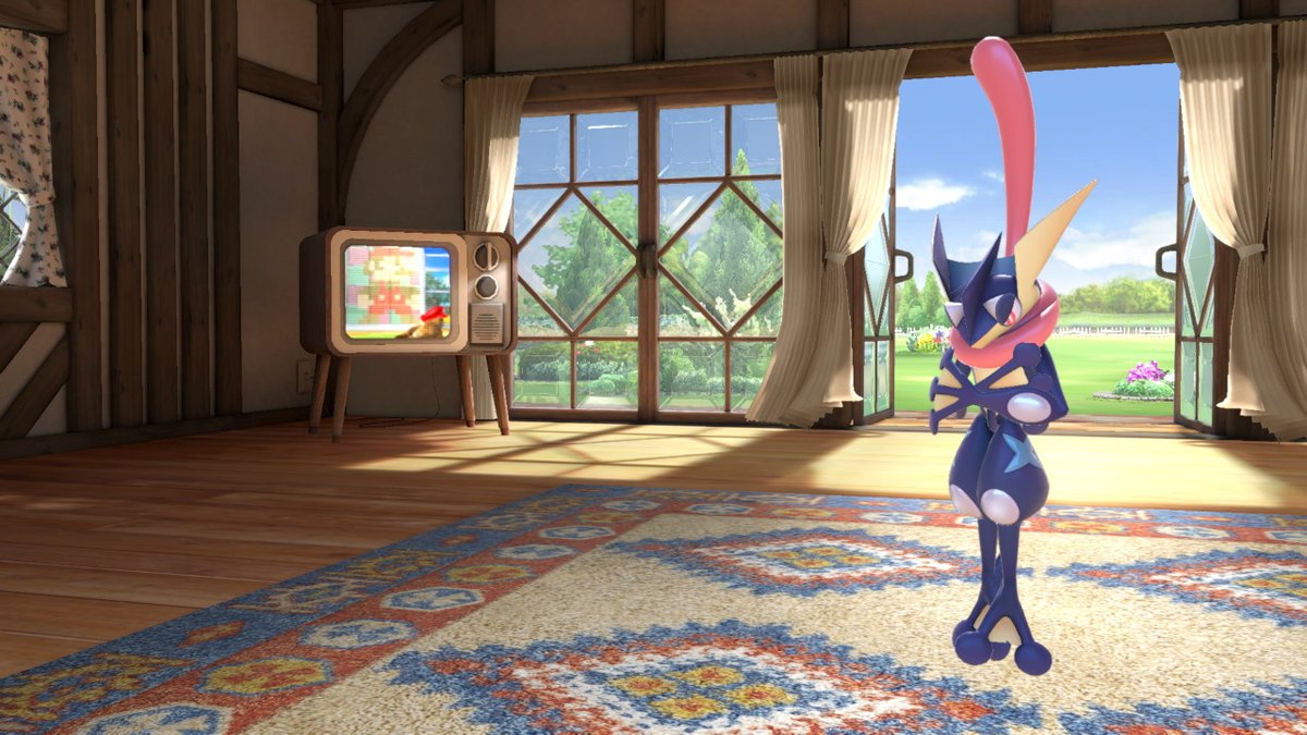 Cameron2Cameron's tweet photo. Terry hangs in the wrong places, Dog jumped over the moon & Greninja ignores TV #SmashSnaps #SmashBros #SmashBrosUltimate #NintendoSwitch https://t.co/xlIHF99Ody