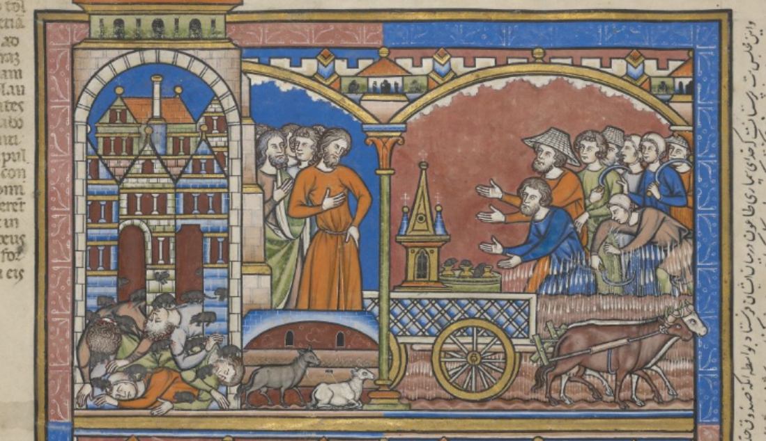 ANYWAY, I would love to see any examples of this story or the Philistine hemorrhoid story actually being depicted in medieval art, if you know of them. There's lots of depictions of the plague of mice but none of the plague of hemorrhoids that I've found. (Morgan, M.638 f. 21v)