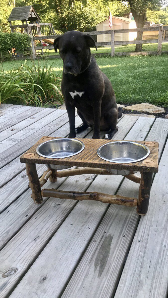 RickyRick00's tweet image. I made this doggy bowl stand made from a piece of old barn wood and a fallen tree branch. #woodworking