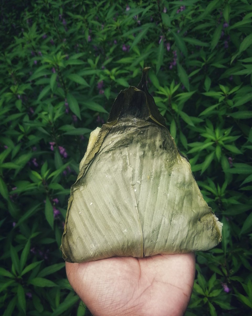 kid_wid_a_beard's tweet photo. Patoli: It's not a sweet dish. It's a feeling!

#Goa #Goan #Patoli #GoanSweet #GoaBeyondBeaches #JustGoanThings #PickMyGoaPic #Konkani #Shravan #NaagPanchami https://t.co/DPQ9l3UQF4