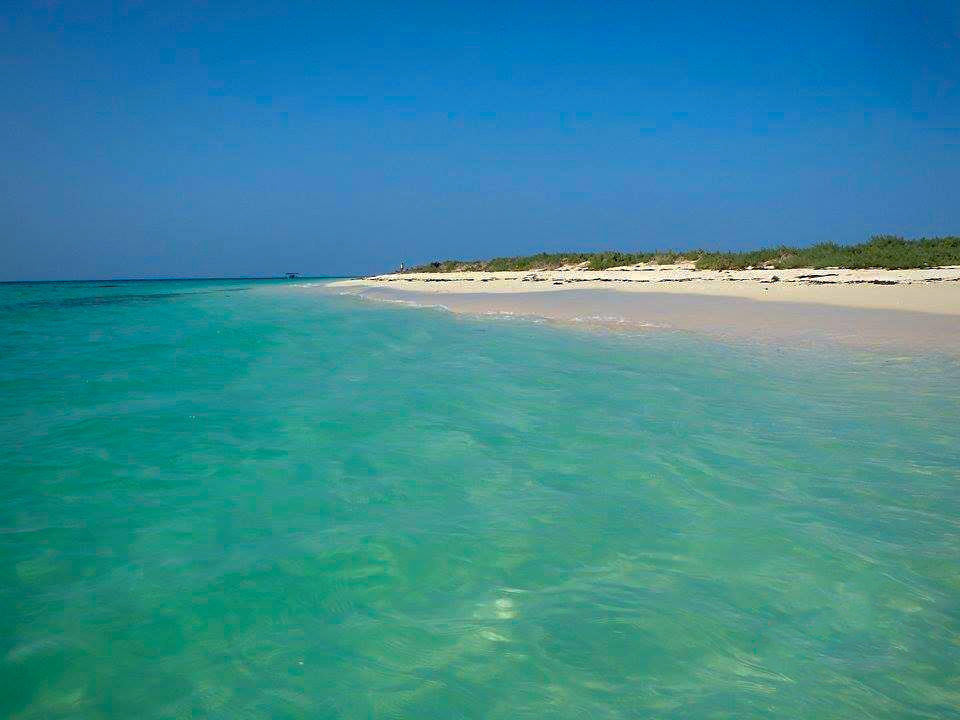 GhideonMusa's tweet photo. The untouched clean and picturesque Dahret Island of  Eritrea 
Credit Haile Hailemichael - Ministry of Marine Resources  #Eritrea https://t.co/3y3wEa9W0m