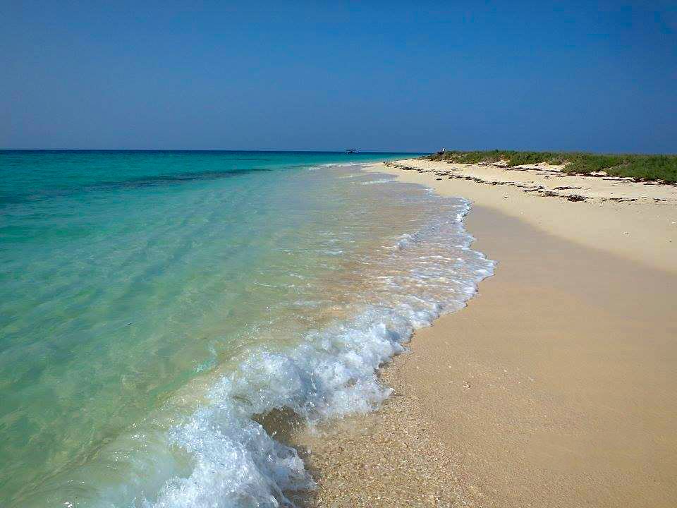 GhideonMusa's tweet photo. The untouched clean and picturesque Dahret Island of  Eritrea 
Credit Haile Hailemichael - Ministry of Marine Resources  #Eritrea https://t.co/3y3wEa9W0m
