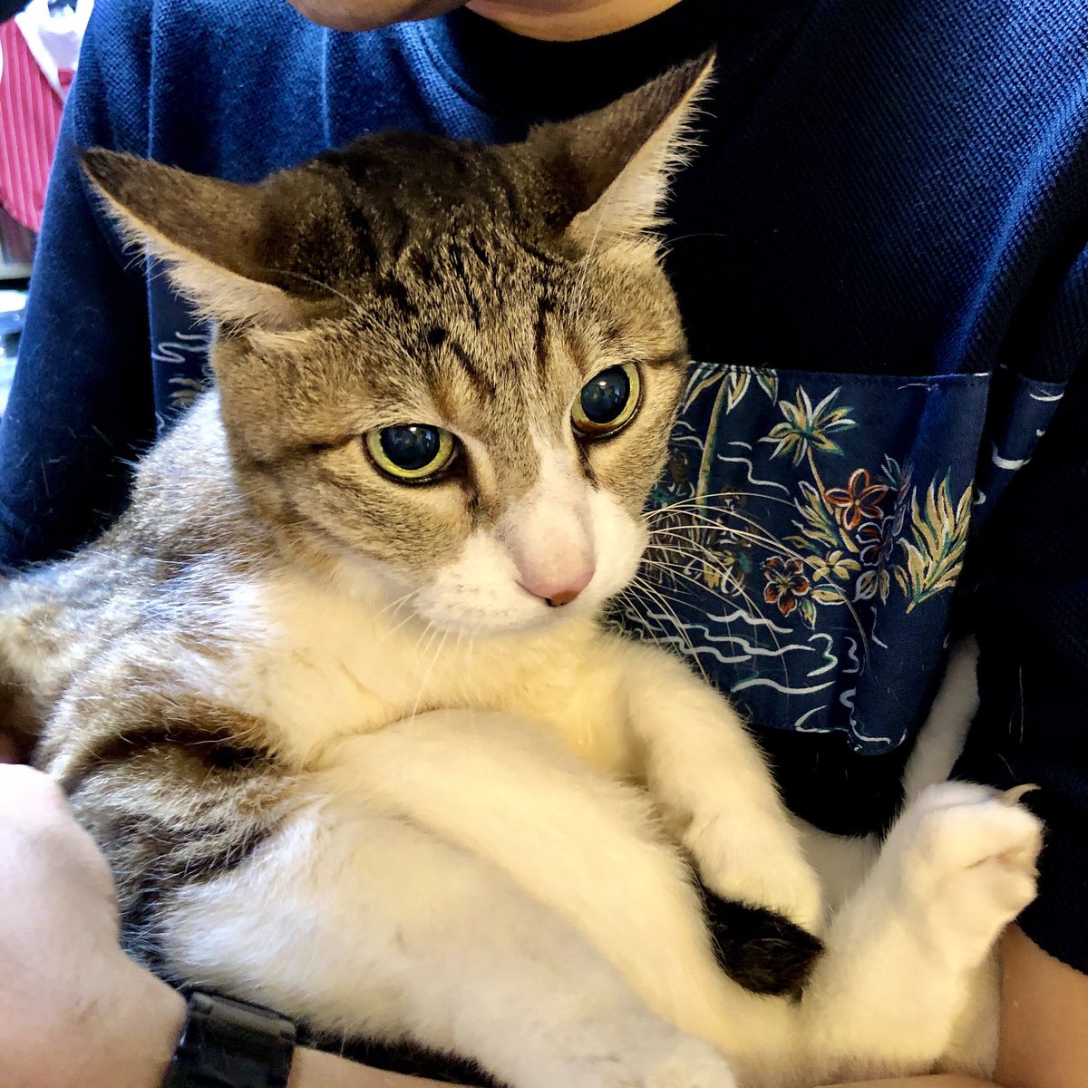 みぞたちか🐇 tweet media