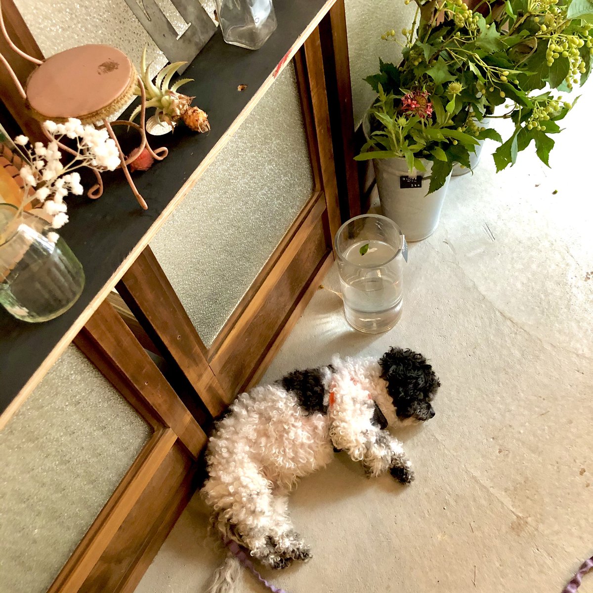 みぞたちか🐇 tweet media