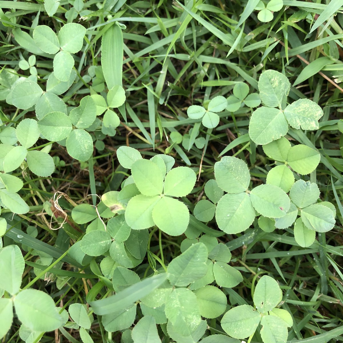 みぞたちか🐇 tweet media