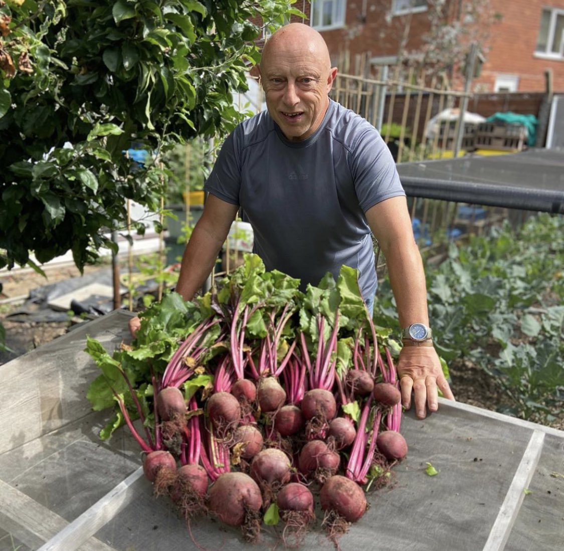 vegepod's tweet image. Check my harvests from the #Vegepod so far this season.
Lovely ramrod spring onions, french breakfast radishes, beetroots, broc and spinach to make Popeye happy! 💪
Reposting @muddybootz.co.uk 🇬🇧 
#Podtoplate #patchtoplate #harvest #raisedgardenbed #growyourown #growfood #garden