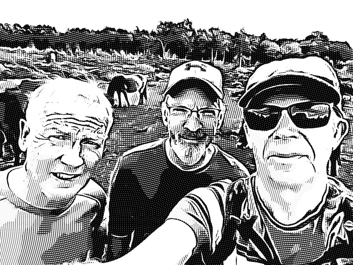the4amblers's tweet photo. On a steady amble around Sutton Park, @the4amblers, the #theoptimist and the #thedadaist and the #theextentialist came across the Exmoor ponies grazing in the sun on a lazy Sunday afternoon in the Summer time https://t.co/6A5byPHYMj