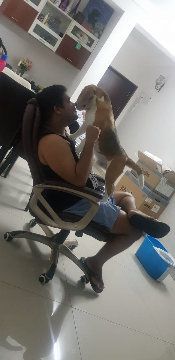 CandidChokri's tweet photo. #DoTheSimba @StarMoviesIndia https://t.co/1LRyfzaD9k